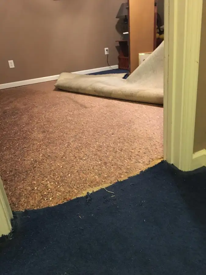 Carpet pad removal revealing water damage during Drying & Dehumidification in Oakdale