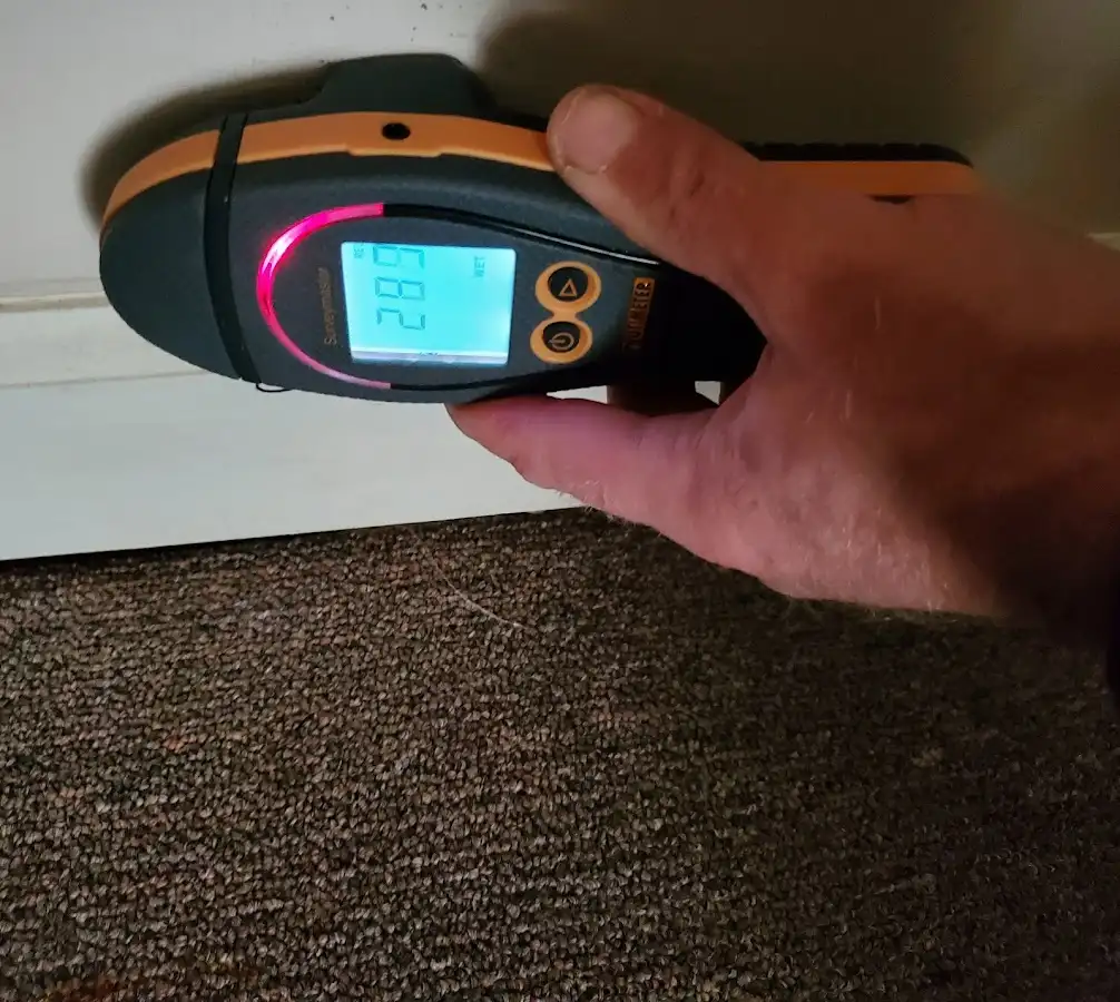 Moisture detection at baseboard during Burst Pipe Cleanup in Oakdale